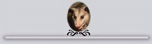 Opossum Bar