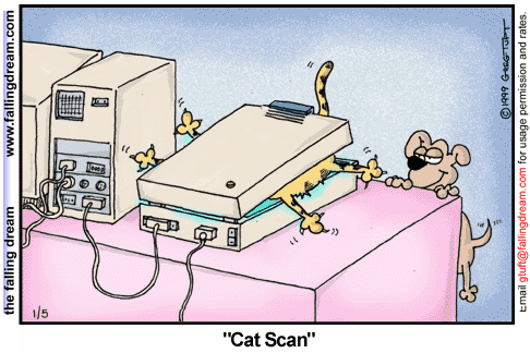 A Cat Scan